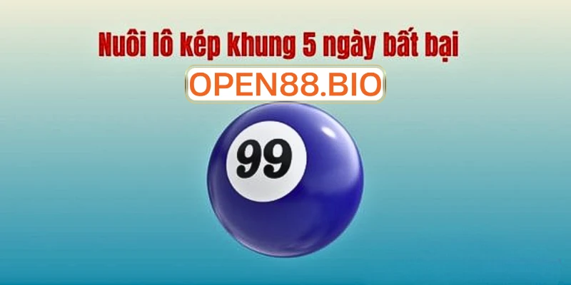 Cách soi cầu nuôi lô kép khung 5 ngày chính xác nhấ