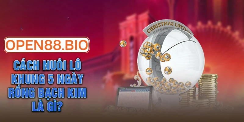 Cách vào tiền nuôi lô khung hiệu quả nhất